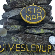 Mirror (for Ladies?) and thermometer on Veslenup